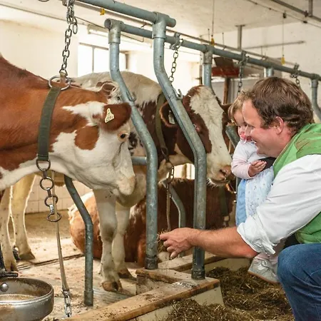 Hotel-pension Lackenbauer 4* Bad Hofgastein