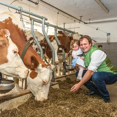 Hotel-Pension Lackenbauer Guest house 4*