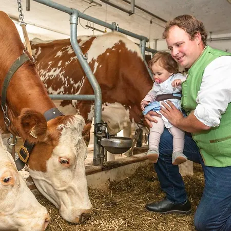 Hotel-pension Lackenbauer 4*