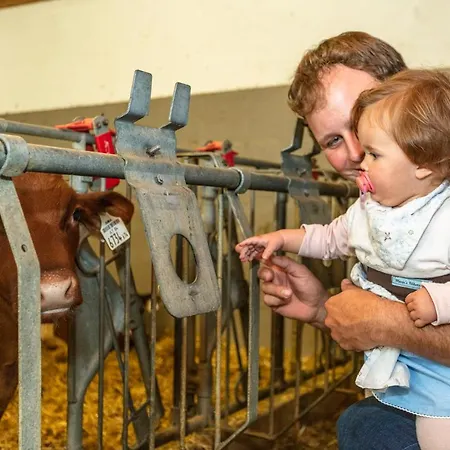 Hotel-Pension Lackenbauer Guest house