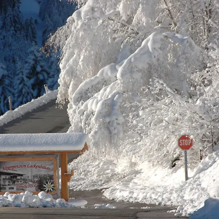 Gasthof Hotel-pension Lackenbauer 4*